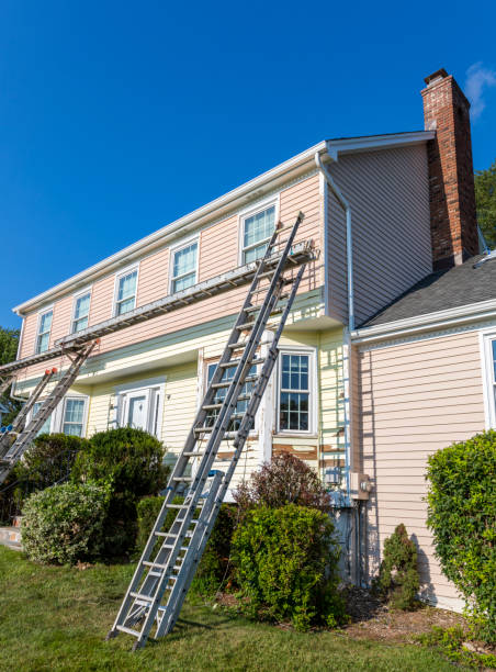 Best Demolition Debris Removal  in Warrensburg, IL