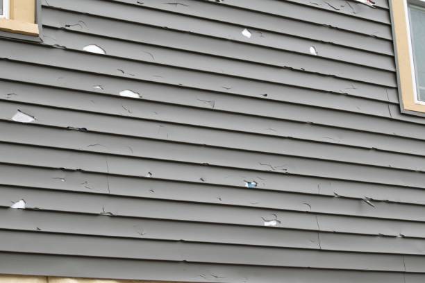 Best Dumpster Rental Services  in Warrensburg, IL